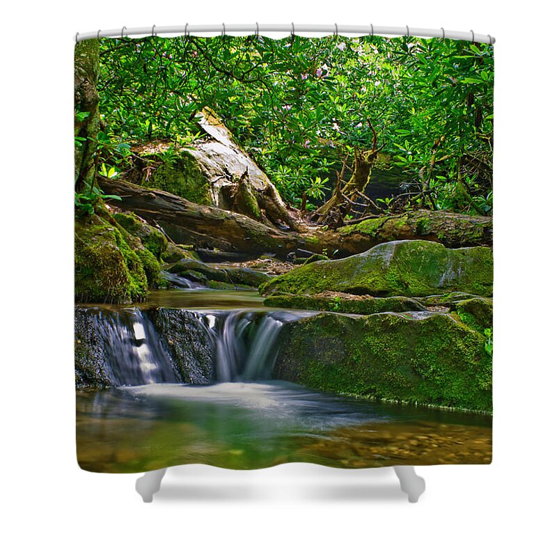 Blue Ridge Parkway Shower Curtain featuring the photograph Sims Creek Waterfall by Meta Gatschenberger