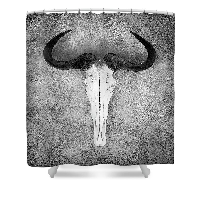 Hanging Shower Curtain featuring the photograph Skull With Horns by Kim Kozlowski Photography, Llc