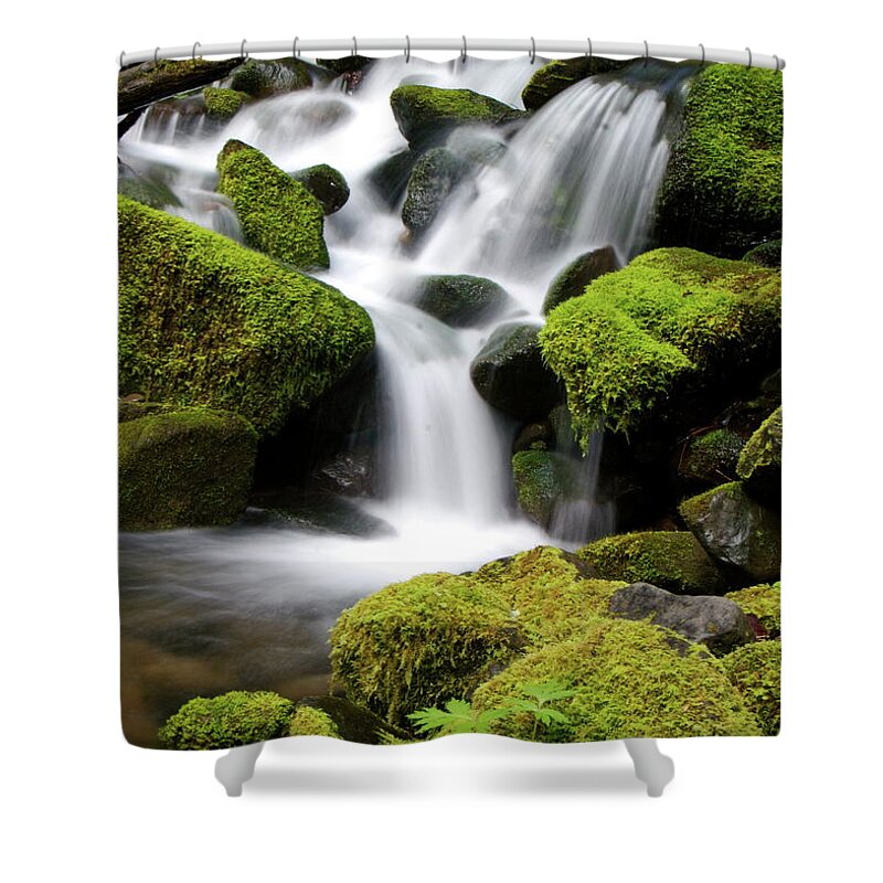 Outdoors Shower Curtain featuring the photograph Small Cascades In The Olympic National by Davelogan