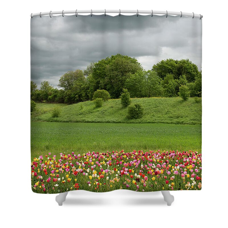 Tranquility Shower Curtain featuring the photograph Small Tulip Field And Storm Clouds by Thomas Winz