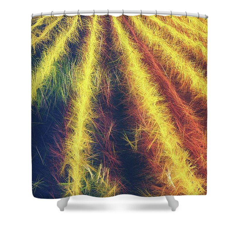 Corn Shower Curtain featuring the photograph Smell of the Corn by Jaroslav Buna