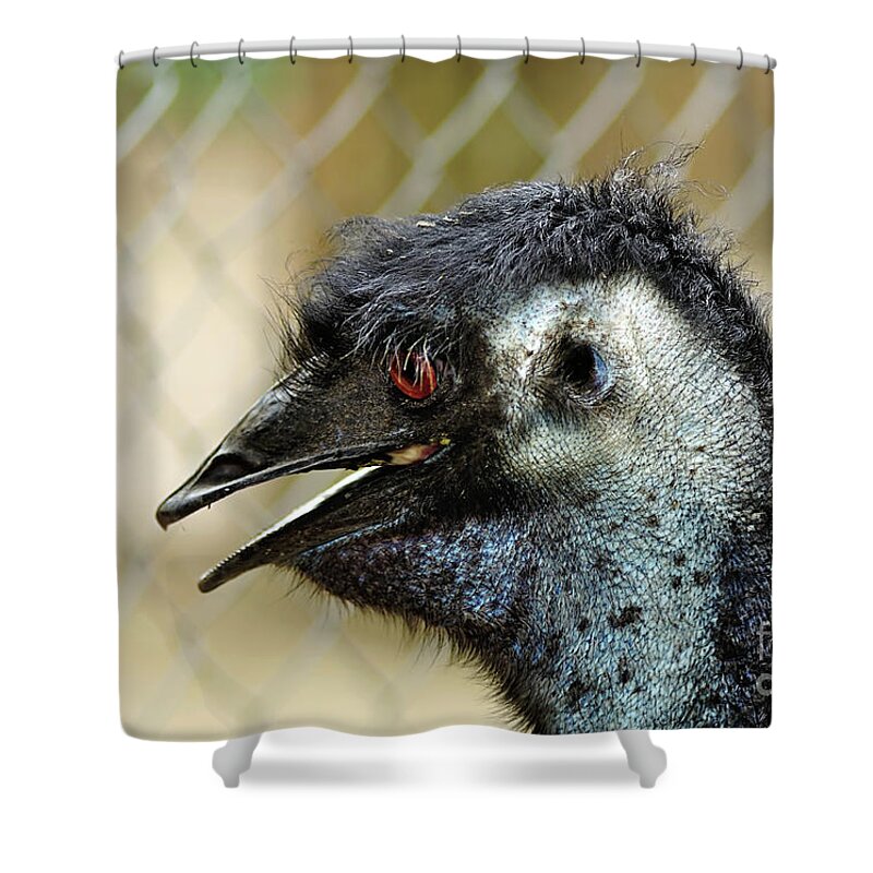 Photography Shower Curtain featuring the photograph Smiley Face Emu by Kaye Menner