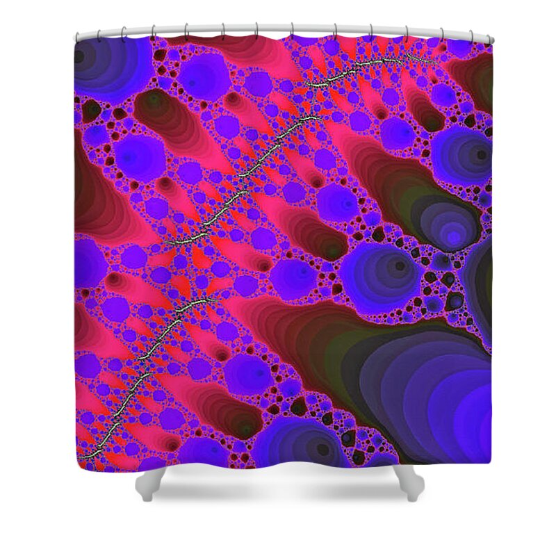 Abstract Shower Curtain featuring the digital art Snake Canyon Abstract Art by Don Northup