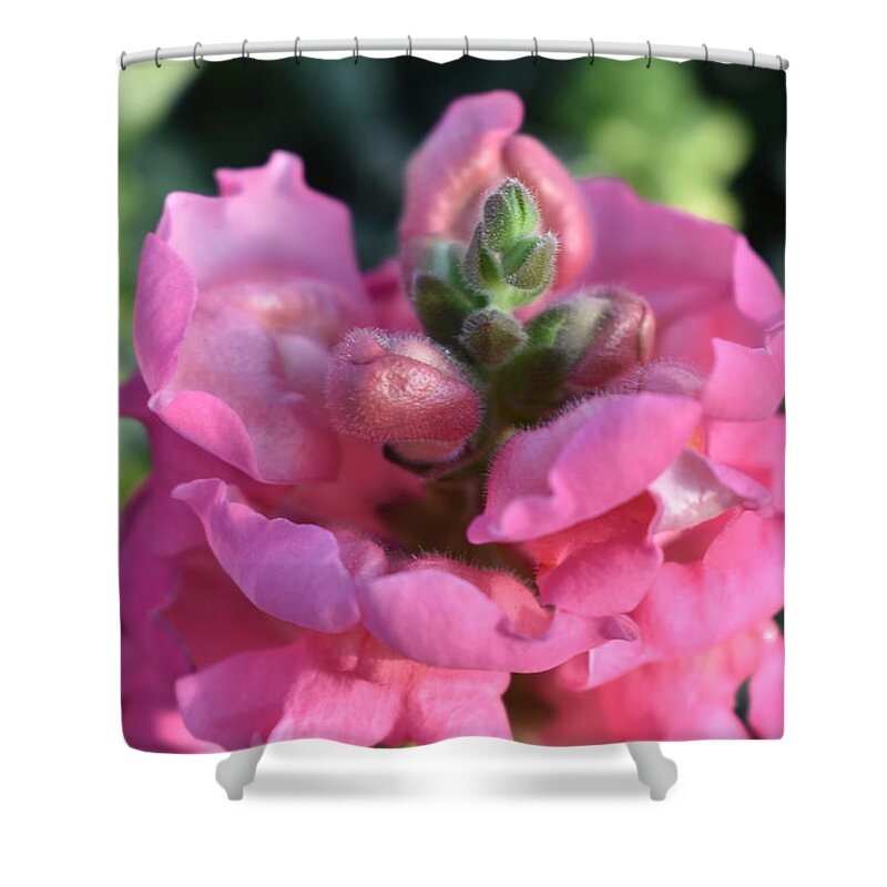 Flowers Shower Curtain featuring the digital art Snapdragon by Yenni Harrison