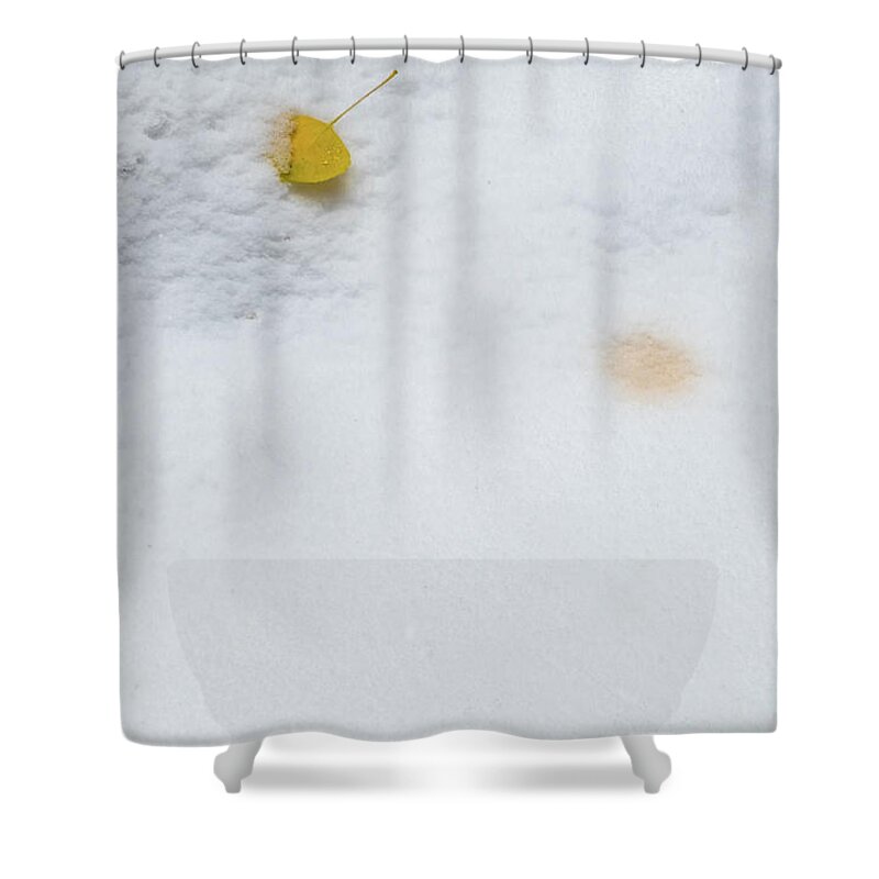 Aspens Shower Curtain featuring the photograph Snow Covered Aspen Leaves by Johnny Boyd