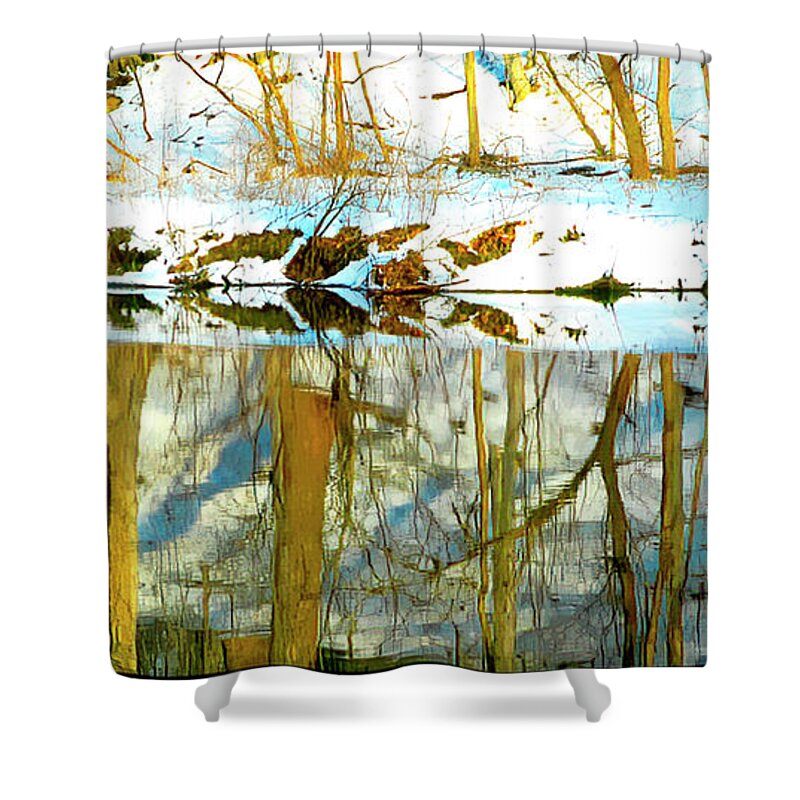 Snow Shower Curtain featuring the photograph Snow Covered Forest Floor Reflected in a Winter Stream by A Macarthur Gurmankin