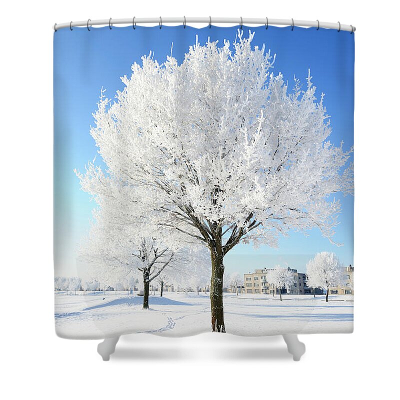 Snow Covered Trees In Winter Landscape Shower Curtain