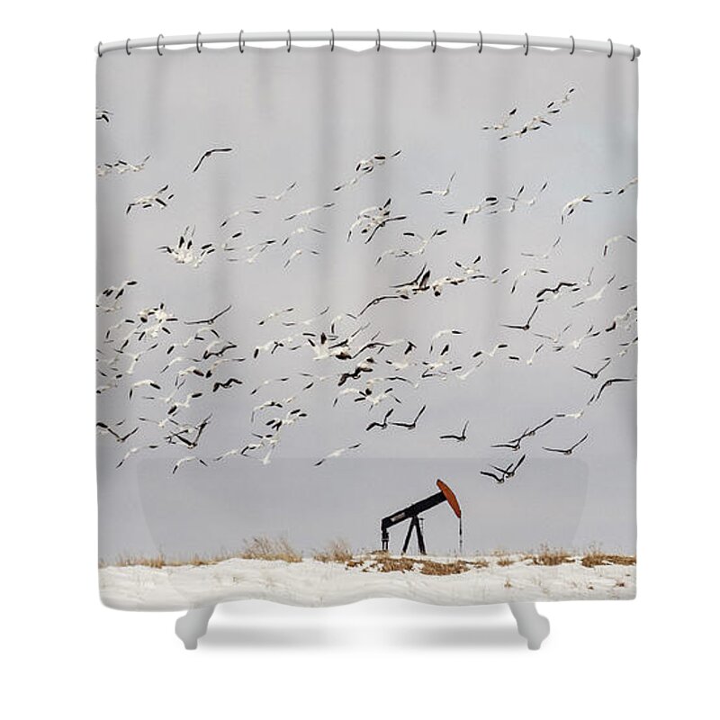 Kansas Shower Curtain featuring the photograph Snow Geese over Oil Pump 02 by Rob Graham