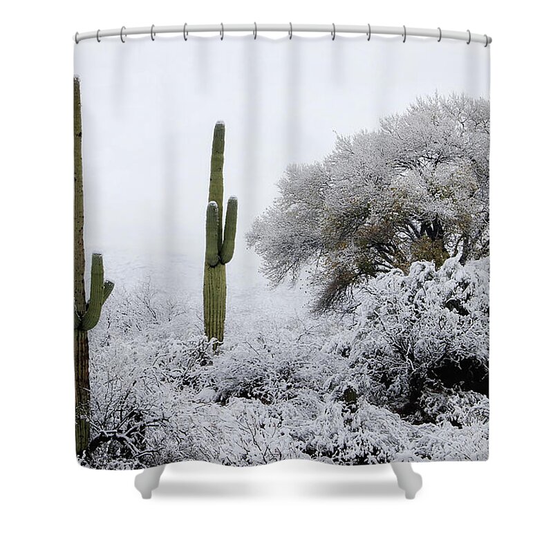 Snow Shower Curtain featuring the photograph Snow In The Desert by Elaine Malott