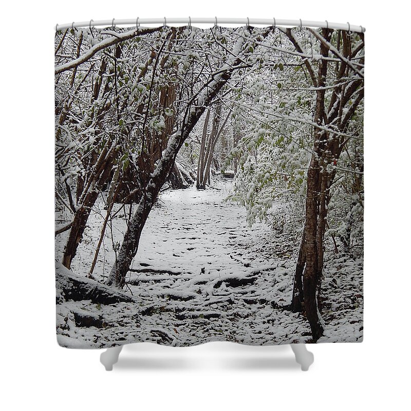 Trail Shower Curtain featuring the photograph Snow In The Woods by Phil Perkins