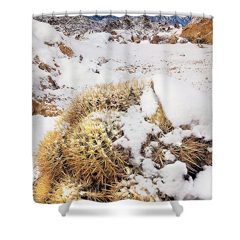 Dave Welling Shower Curtain featuring the photograph Snow On Cactus Alabama Hills Eastern Sierras California by Dave Welling