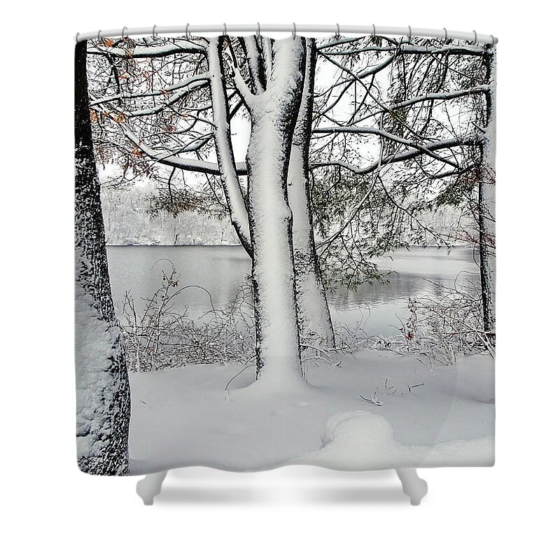 Winter Shower Curtain featuring the photograph Snowfall in March by Lyuba Filatova