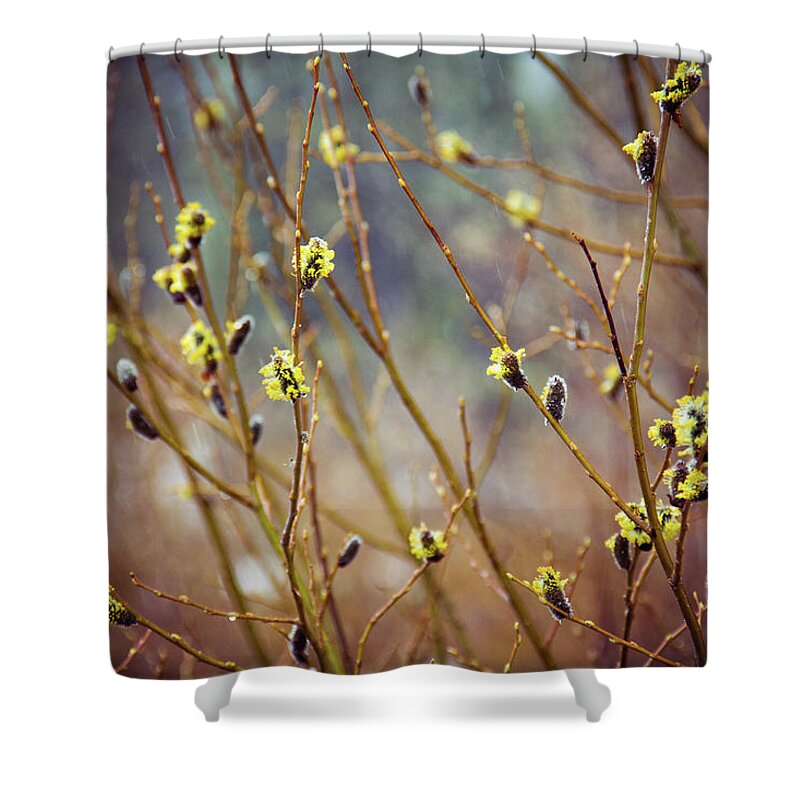 Flowers Shower Curtain featuring the photograph Snowfall on Budding Willows by Laura Roberts