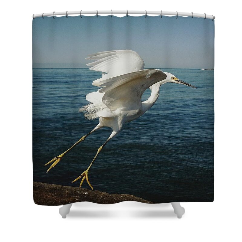 Taking Off Shower Curtain featuring the photograph Snowy Egret Taking Off Over Ocean by Shari Weaver Photography