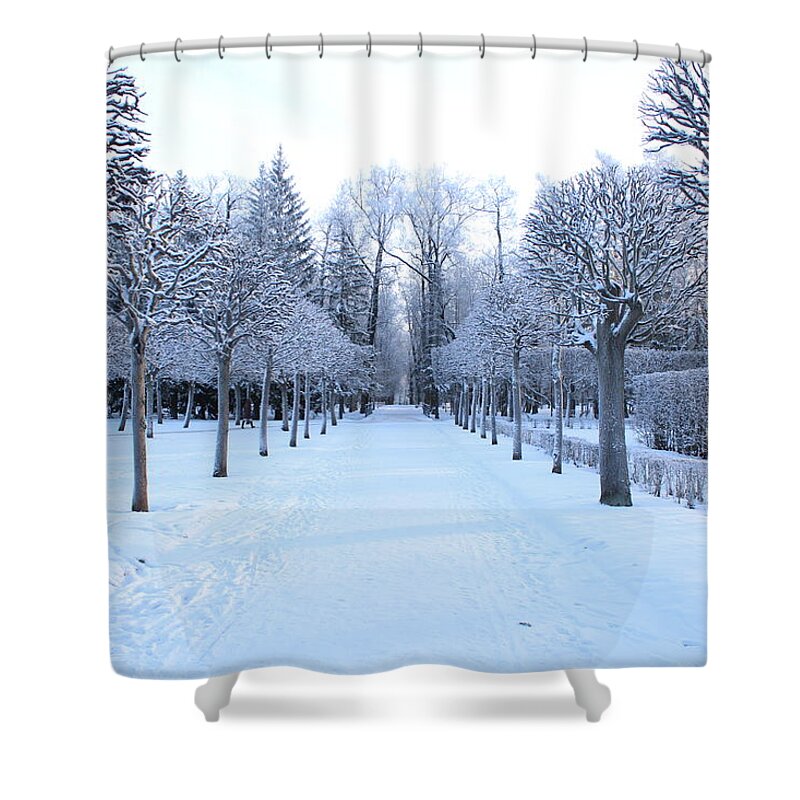 Trees In Snow Shower Curtain featuring the photograph Snowy Trees by FD Graham