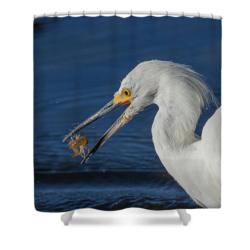 Snowy White Egret Shower Curtain featuring the photograph Snowy White Egret 2 by Rick Mosher
