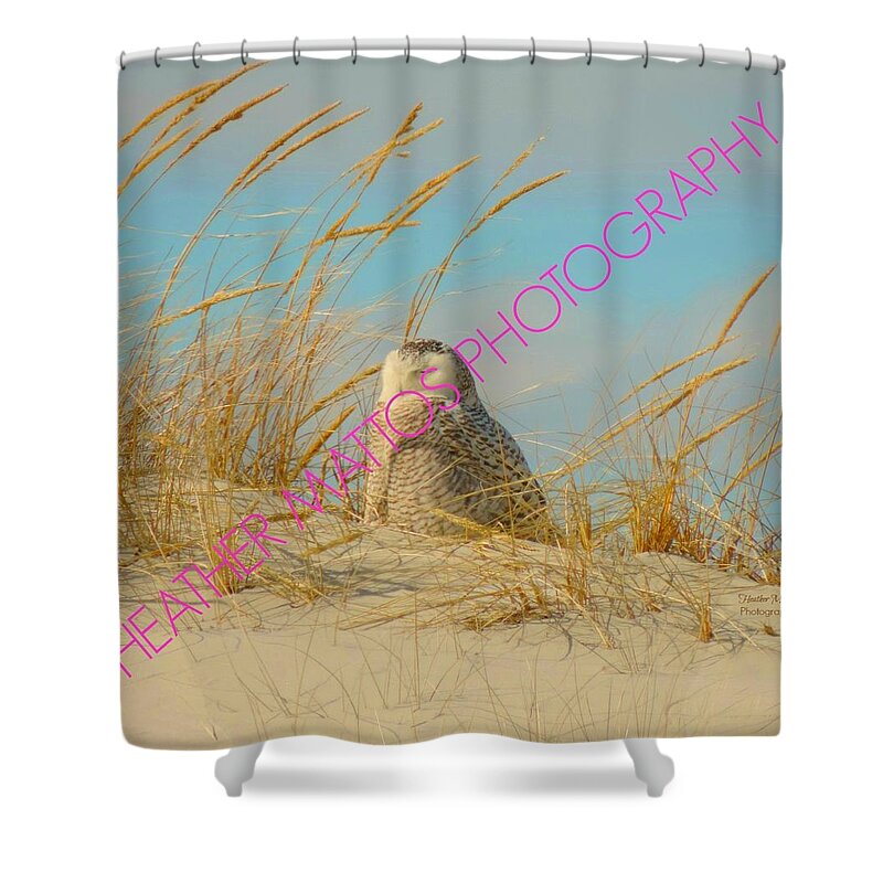 Snowy White Owl Shower Curtain featuring the photograph Snowy White Owl - Plymouth, MA by Heather M Photography