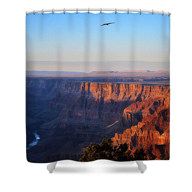 Grand Canyon Shower Curtain featuring the photograph Soaring Over the Grand Canyon by Chance Kafka