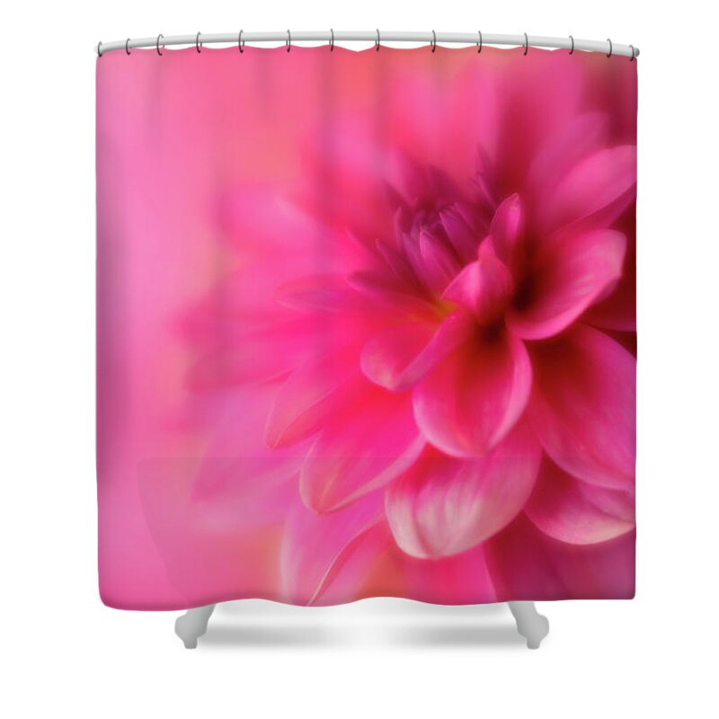 Dahlia Shower Curtain featuring the photograph Softly Looking Up by Mary Jo Allen