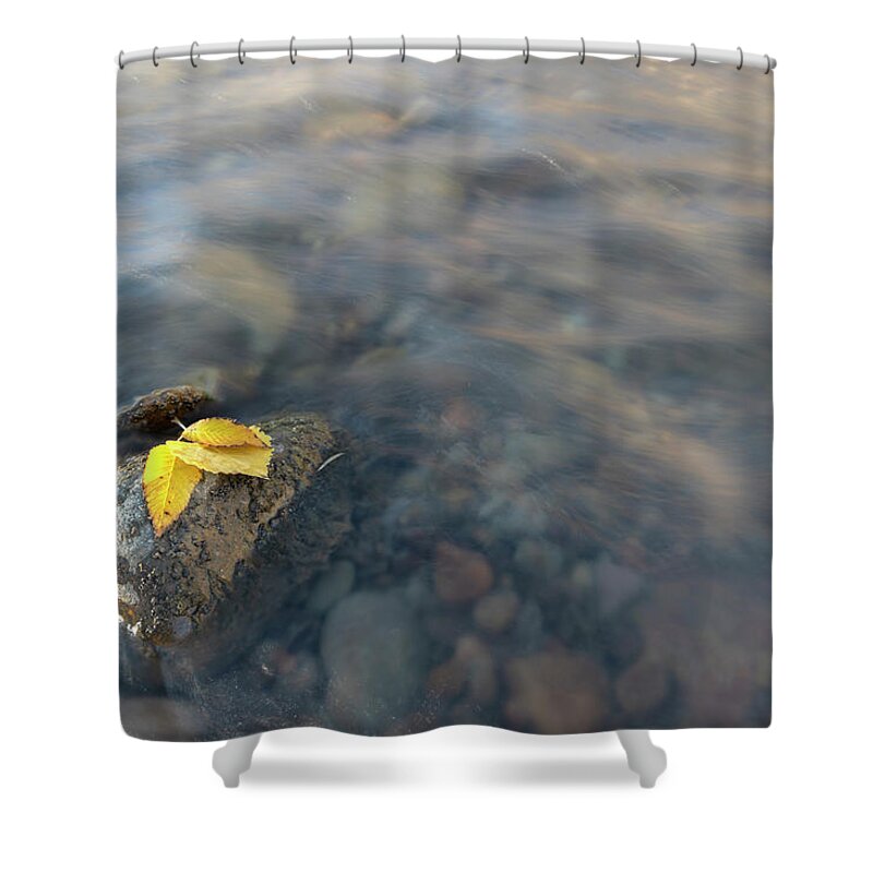 River Shower Curtain featuring the photograph Softly Now by Angela Moyer