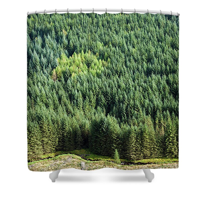 Tranquility Shower Curtain featuring the photograph Softwoods, Cambrian Mountains, Wales Uk by Stephen Dorey
