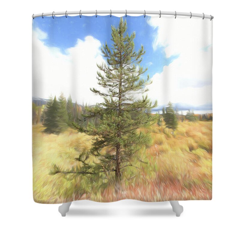 Tree Shower Curtain featuring the photograph Solidarity by Jennifer Grossnickle