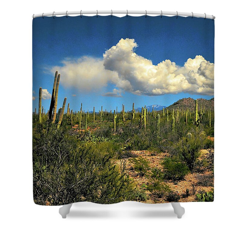 Tucson Shower Curtain featuring the photograph Sonoran Cotton Ball Clouds by Chance Kafka