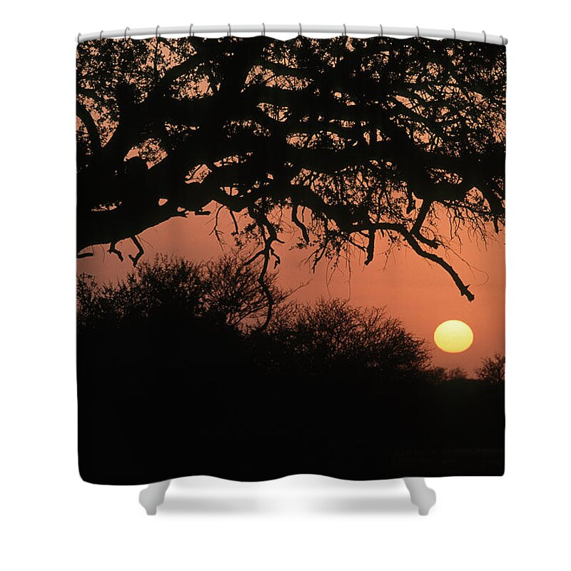 Sunrise Shower Curtain featuring the photograph South Africa, Sunrise by Tropicalpixsingapore