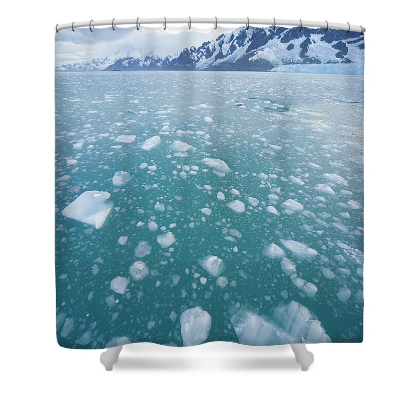 Travel Destinations Shower Curtain featuring the photograph South Georgia, Cumulus Clouds Over by Eastcott Momatiuk