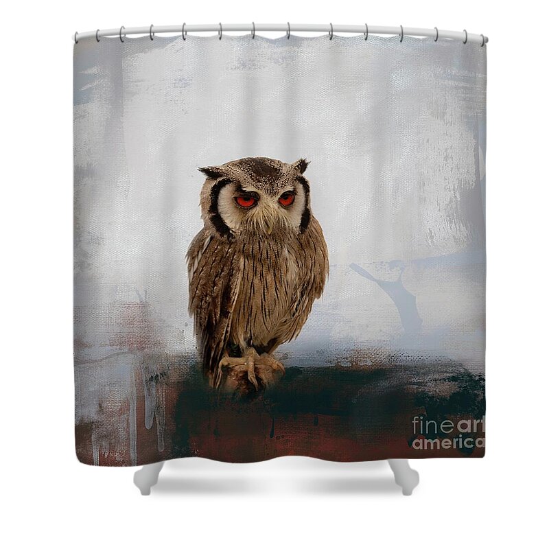 Southern White-faced Scop Owl Shower Curtain featuring the photograph Southern White-Faced Scop Owl-2 by Eva Lechner