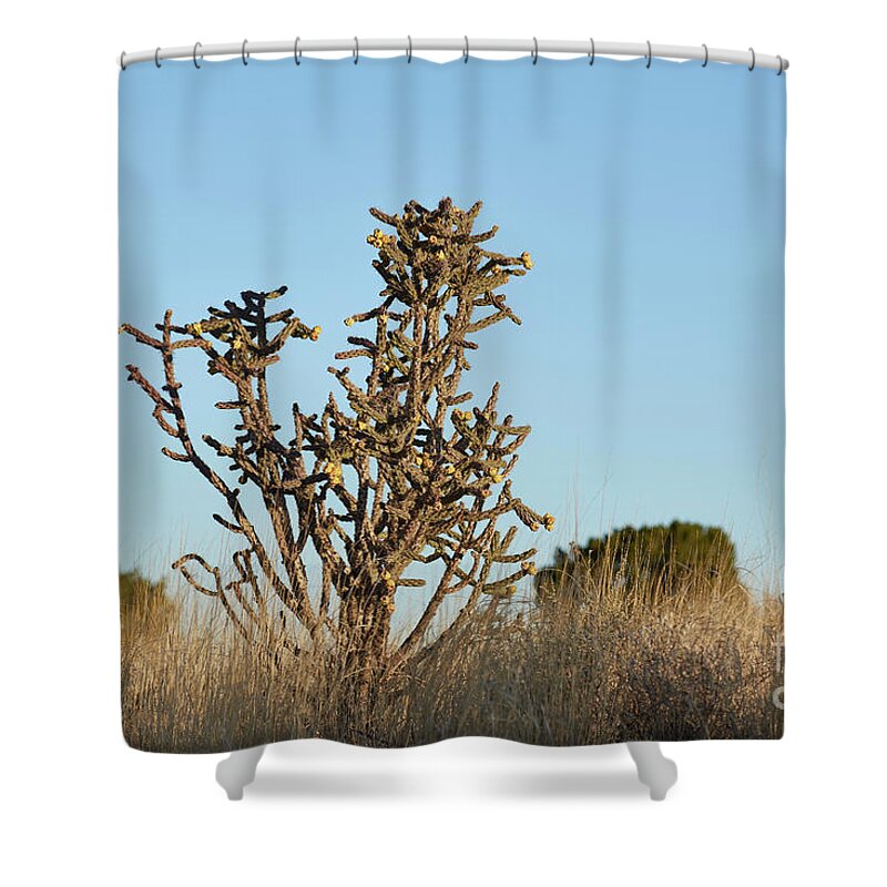 New Mexico Desert Shower Curtain featuring the photograph Southwest Cactus Landscape by Robert WK Clark