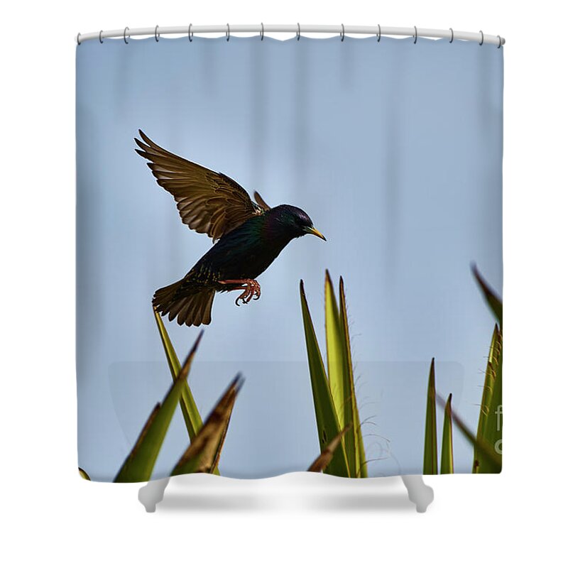 Exotic Shower Curtain featuring the photograph Southwest Caught In The Moment by Robert WK Clark