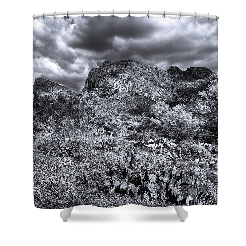 Santa Catalina Shower Curtain featuring the photograph Southwest Spring m1935 by Mark Myhaver