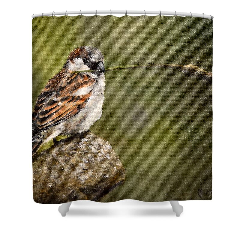 Sparrow Shower Curtain featuring the painting Sparrow by Kirsty Rebecca
