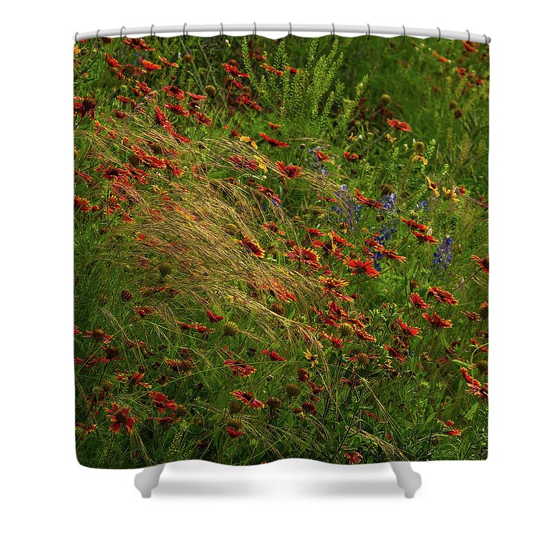 Paintbrushes Shower Curtain featuring the photograph Spear Grass by Johnny Boyd