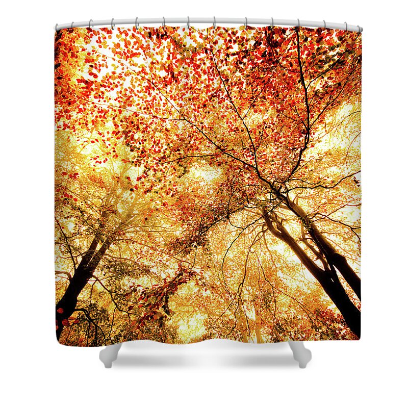 Tranquility Shower Curtain featuring the photograph Spectrum by Dylan Borck