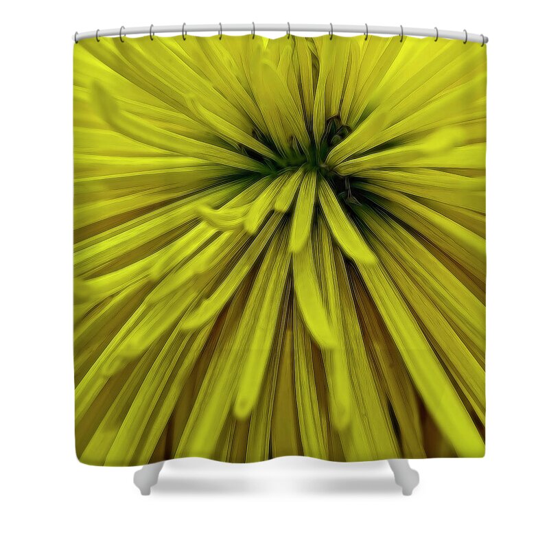 Flower Shower Curtain featuring the photograph Spider Mum 3983 by Cathy Kovarik