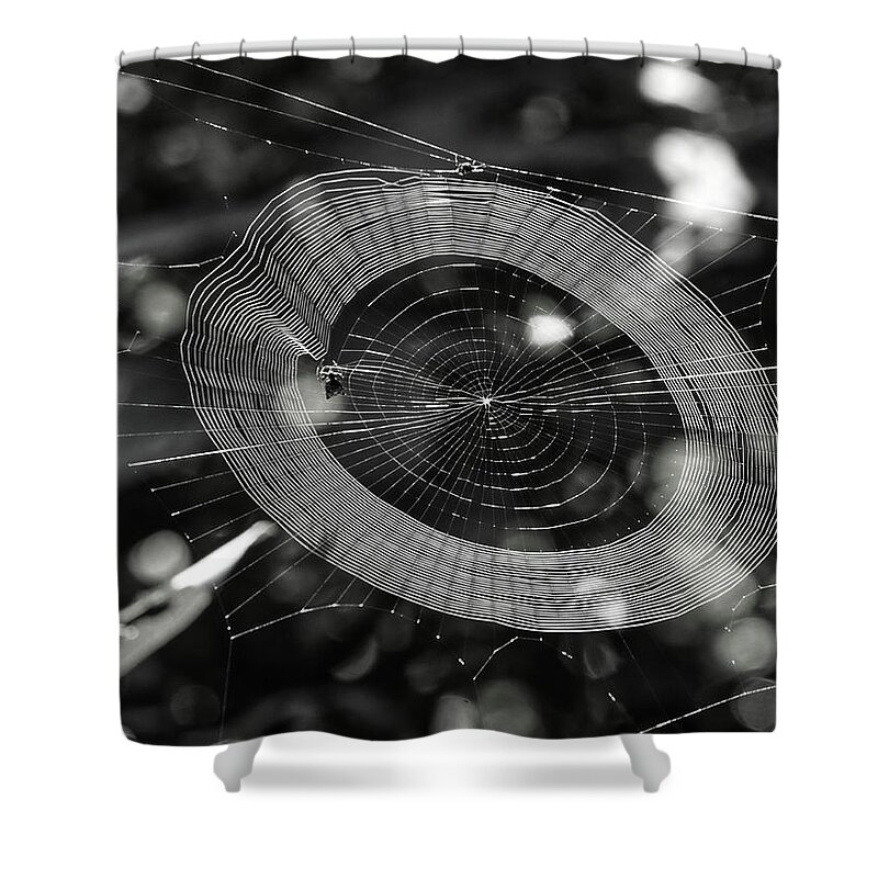 Animals Shower Curtain featuring the photograph Spinning my web by Paul Ross