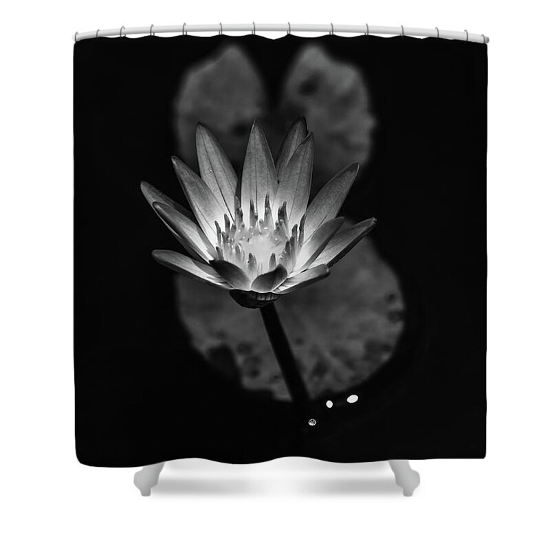 Flower Shower Curtain featuring the photograph Spotlight by Laura Roberts