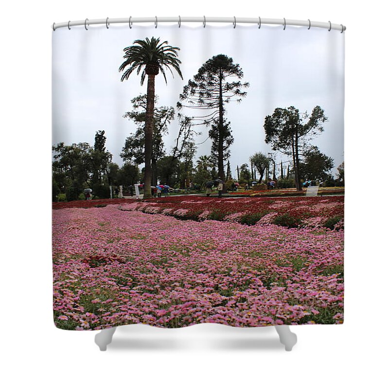27 Shower Curtain featuring the photograph Spring colours by Yohana Negusse