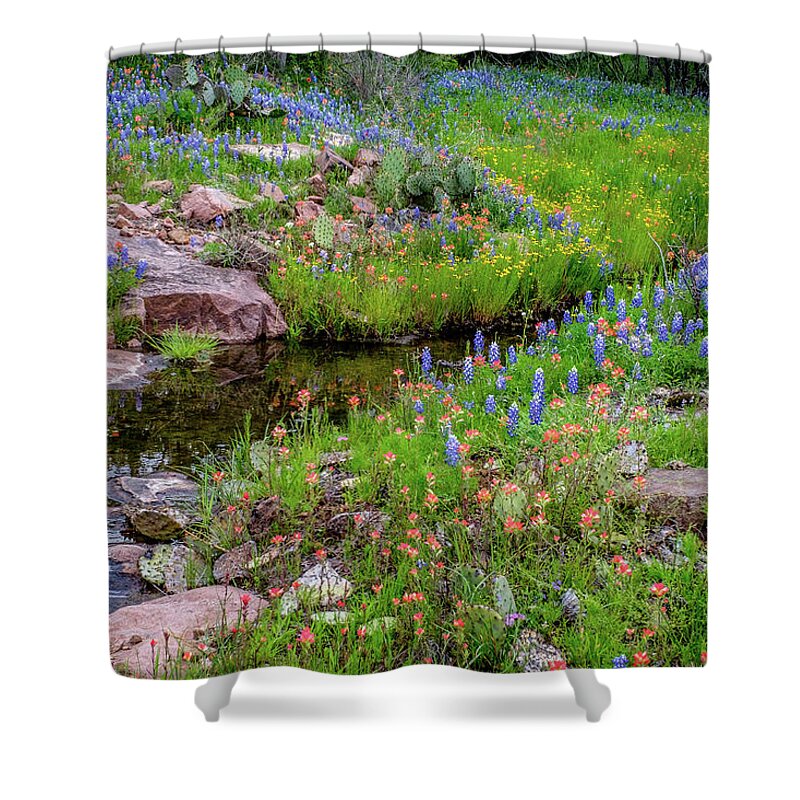 Texas Wildflowers Shower Curtain featuring the photograph Spring Delight by Johnny Boyd