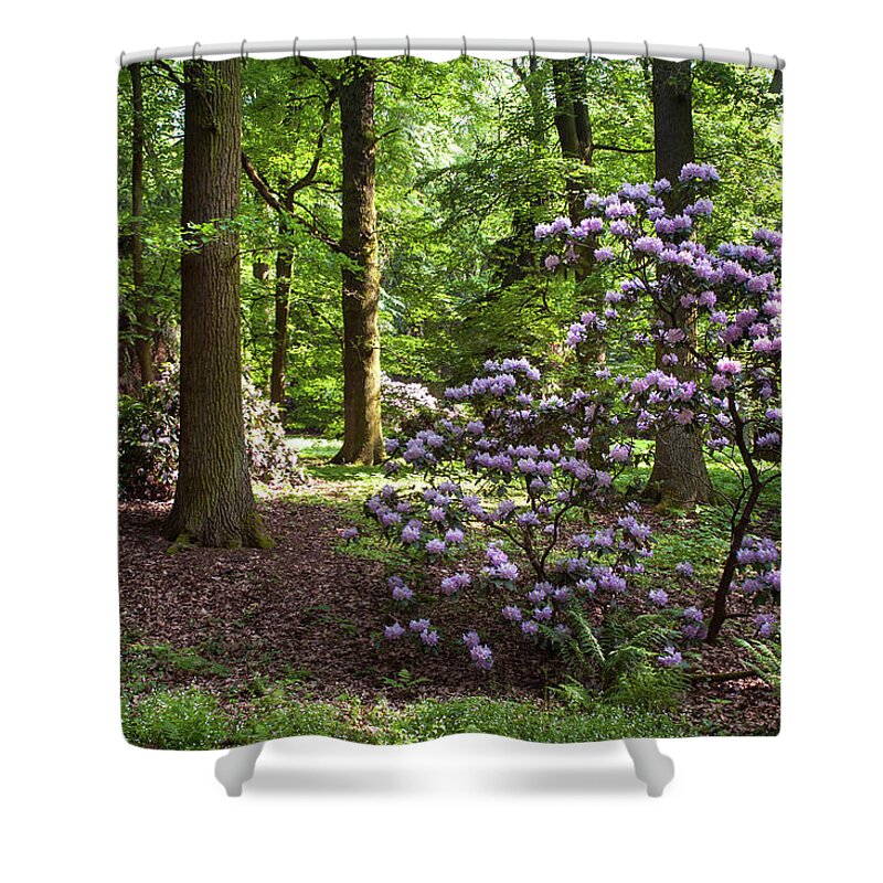 Jenny Rainbow Fine Art Photography Shower Curtain featuring the photograph Spring Marvels 1 by Jenny Rainbow