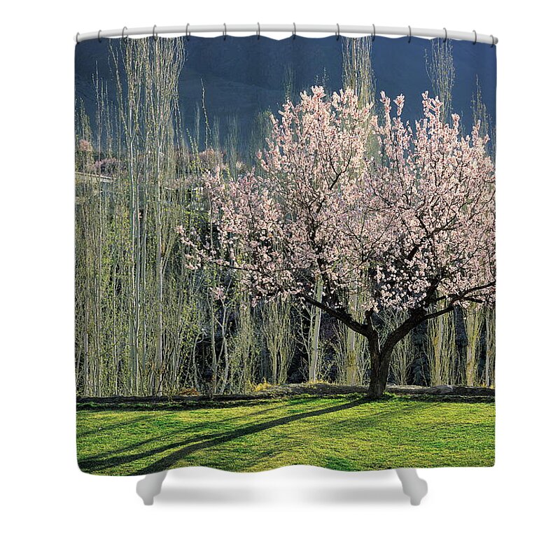 Tranquility Shower Curtain featuring the photograph Spring by Nadeem Khawar