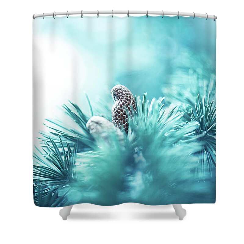 Needle Shower Curtain featuring the photograph Spruce Branch With Cone by Jasmina007