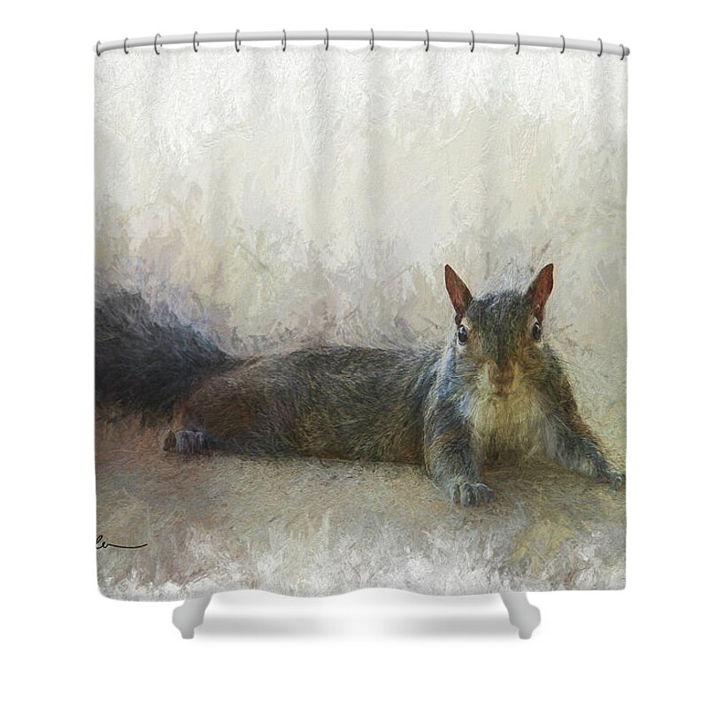 Squirrel Shower Curtain featuring the photograph Squirrel Chilling by Randall Allen