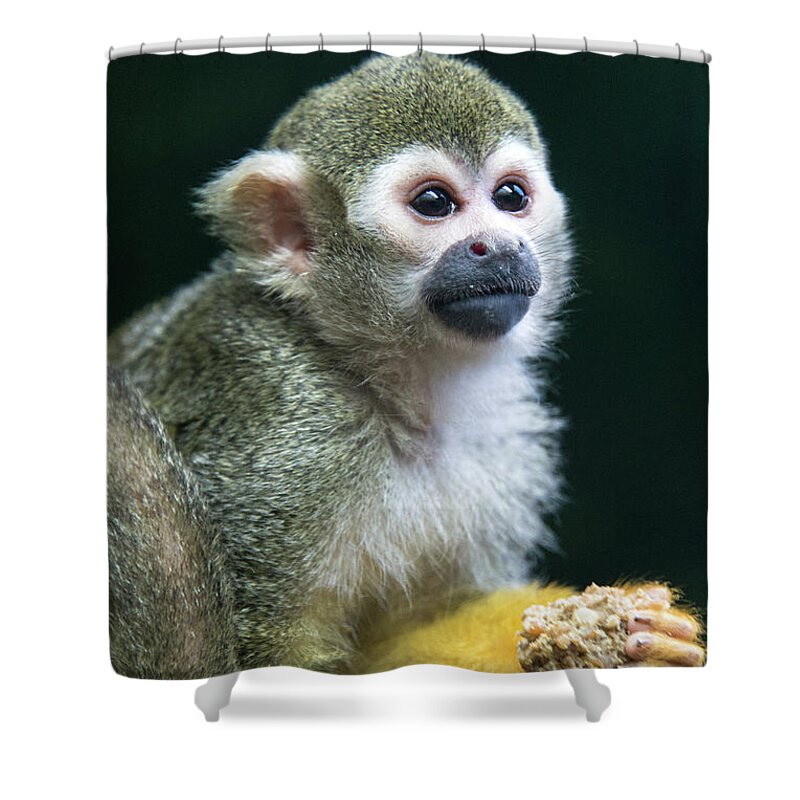 One Animal Shower Curtain featuring the photograph Squirrel Monkey by Mark Newman