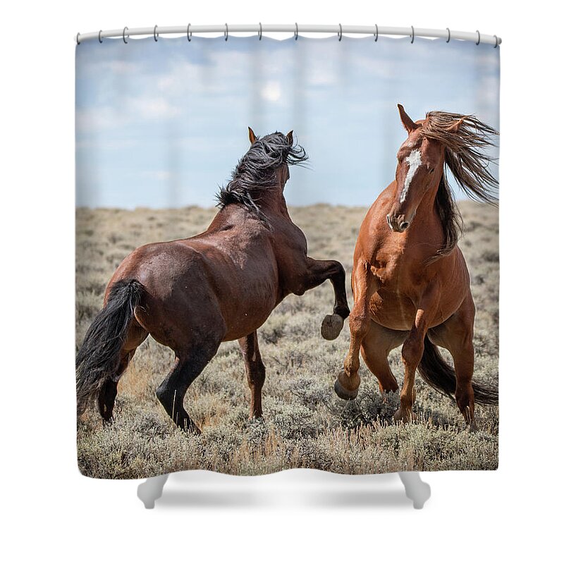 Wild Horses Shower Curtain featuring the photograph Stallion speak by Mary Hone