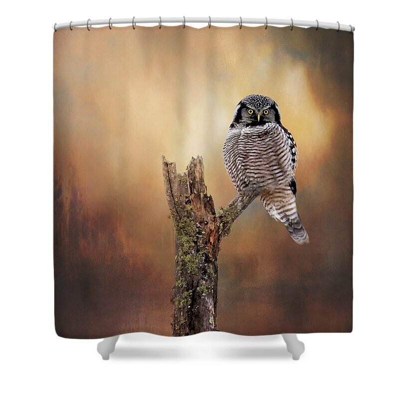 Northern Hawk Owl Shower Curtain featuring the photograph Stare Into My Eyes by Susan Rissi Tregoning