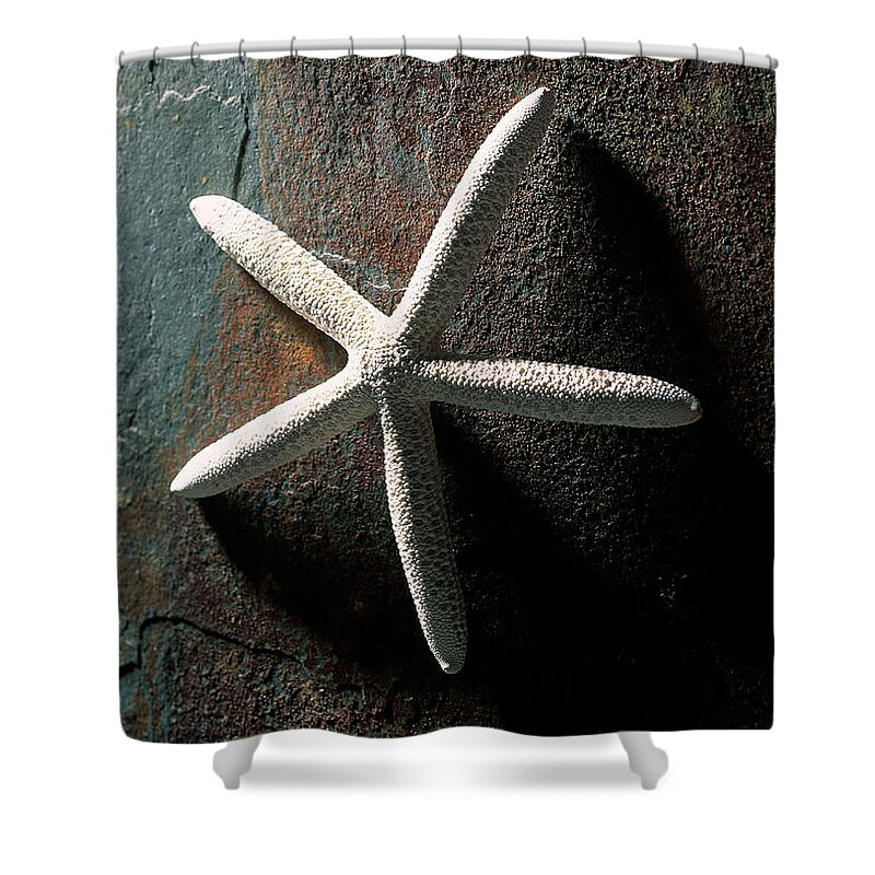 Starfish Shower Curtain featuring the photograph Starfish by Imagenavi
