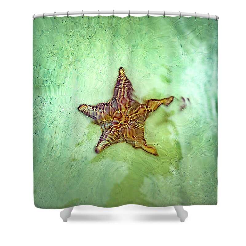 Estock Shower Curtain featuring the digital art Starfish Point, Cayman Islands by Angela Pagano